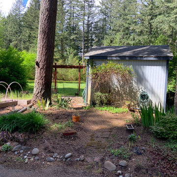 Veggie Garden Makeover