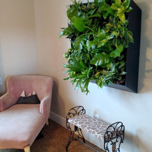 Sara’s Office