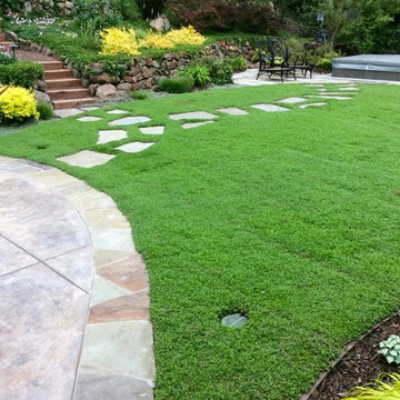Sweepstakes Award Winning Orinda Backyard