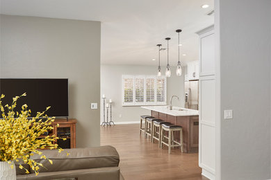 Inspiration for a transitional family room remodel in Other