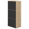 Bamboo Shoe Storage Cabinet, Black/Oak