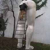 Py Dubourg's photo