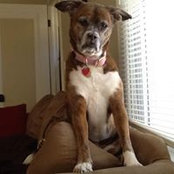 Ryan Campbell's photo