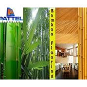 Foto von Pattel Corp