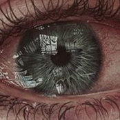Lena Cocos billede