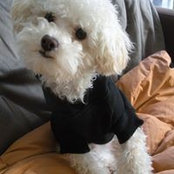 Erin Rabbitt's photo