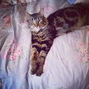 Dawn O'Donnell's photo