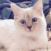 Marlena Larson's photo
