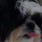 Foto de Sandy Helvey
