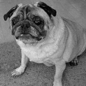 Timothy Tau's photo