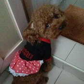Jennis Wong's photo