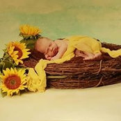 Joni Craig Merrill's photo