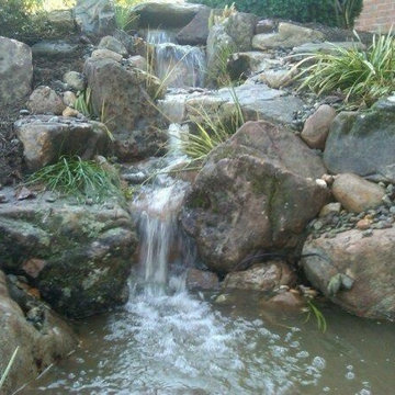 Pond builds