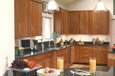 Kitchen - contemporary kitchen idea in Cleveland