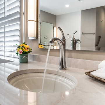 Lorton Traditional Master Bathroom