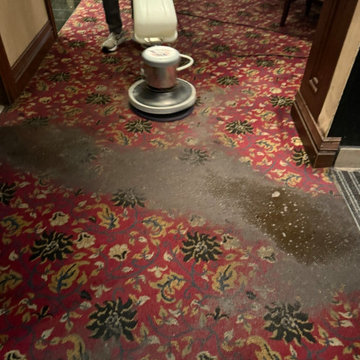 Commercial Carpet Cleaning