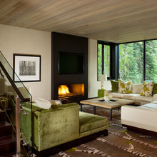 cabin - t and g ceiling, color