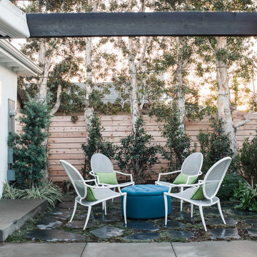 Contemporary Backyard Oasis