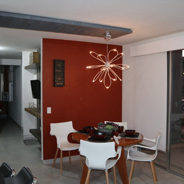 Departamentos modelo ZIRCON