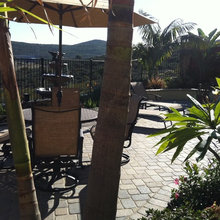 outdoor landscape