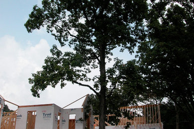 Pre-Construction Tree Maintenance