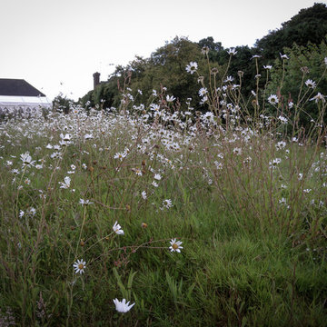 Wildflower Fountain