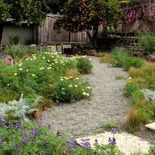 backyard ideas
