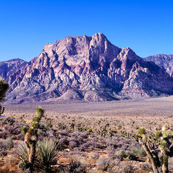 "Red Rock Canyon" - Photographs