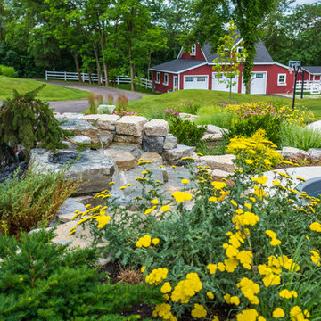 Backyard Pool, Patio, Perennials, and FUN in Barrington, IL