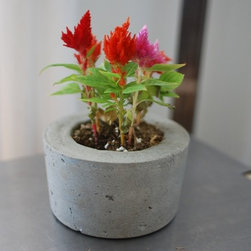 Handmade Concrete Planters - Home Decor