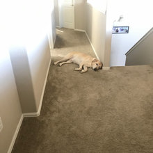 Carpets