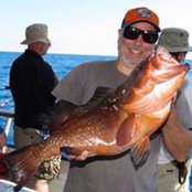 John Cormiers billede