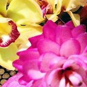 Leslie Cidale's photo