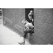 Alexandra St-Amour's photo