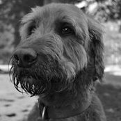 Guy Gregory's photo