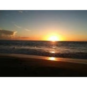 Shawna Smith's photo