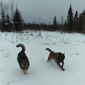 Ingrid Videto's photo