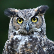 mczone6b's photo