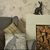 feature wallpaper's photo