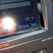 Alison Frank-Quick's photo
