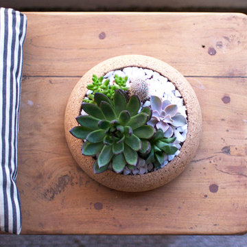 Large Cork Planter