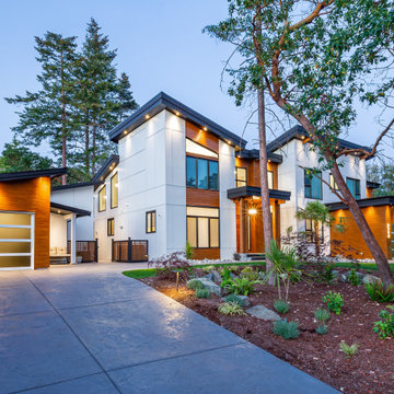 McColl Modern