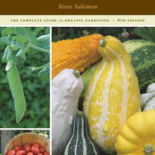 Vegetable Garden