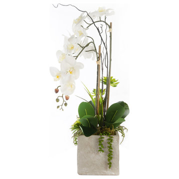 Real Touch White Orchids and Succulents, Square Cement Pot