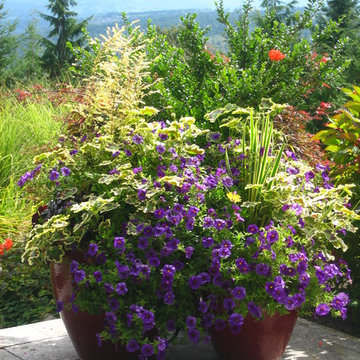 Preston Patio