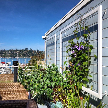 Vertical Gardens with Wall Trellis by Terra Trellis