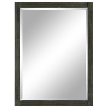 Tyler Series - 30" Framed Mirror with Beveled Glass