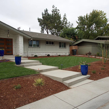 Landscape Designs