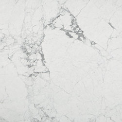 Statuary Calacatta Vein Slab - Home Decor