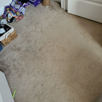 Solid Vinyl Core Installation